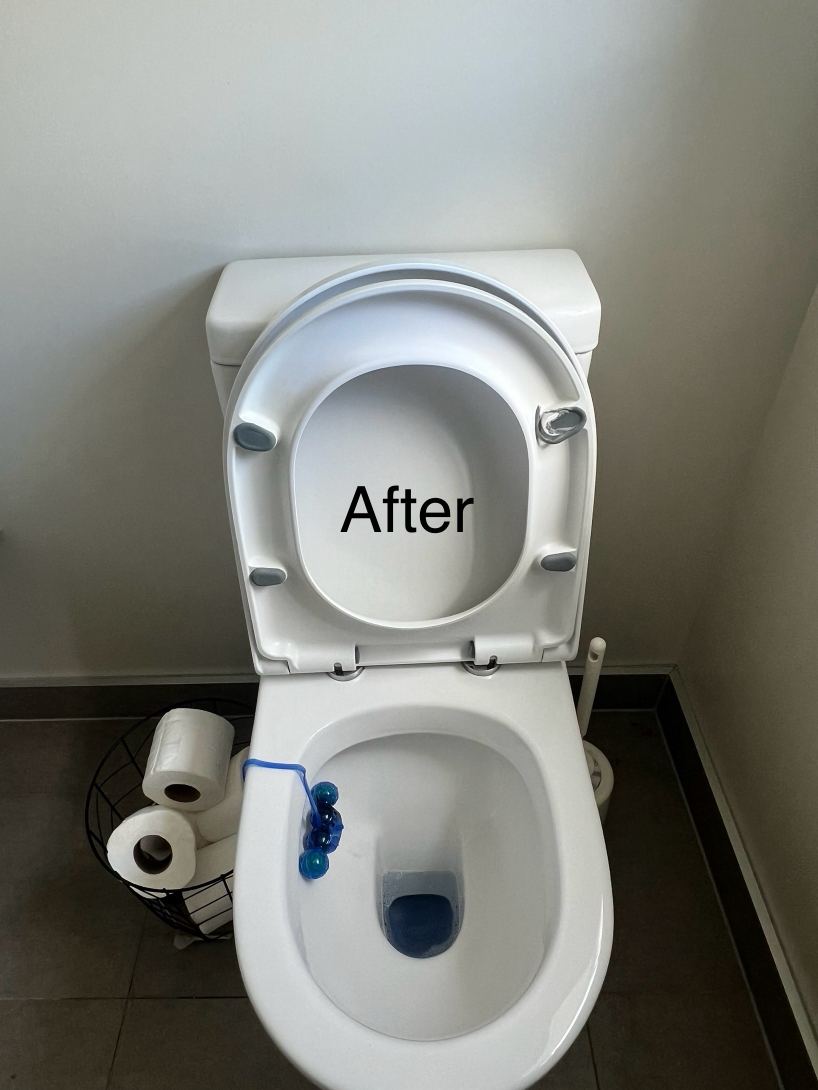 After toilet deep cleaning service Auckland
