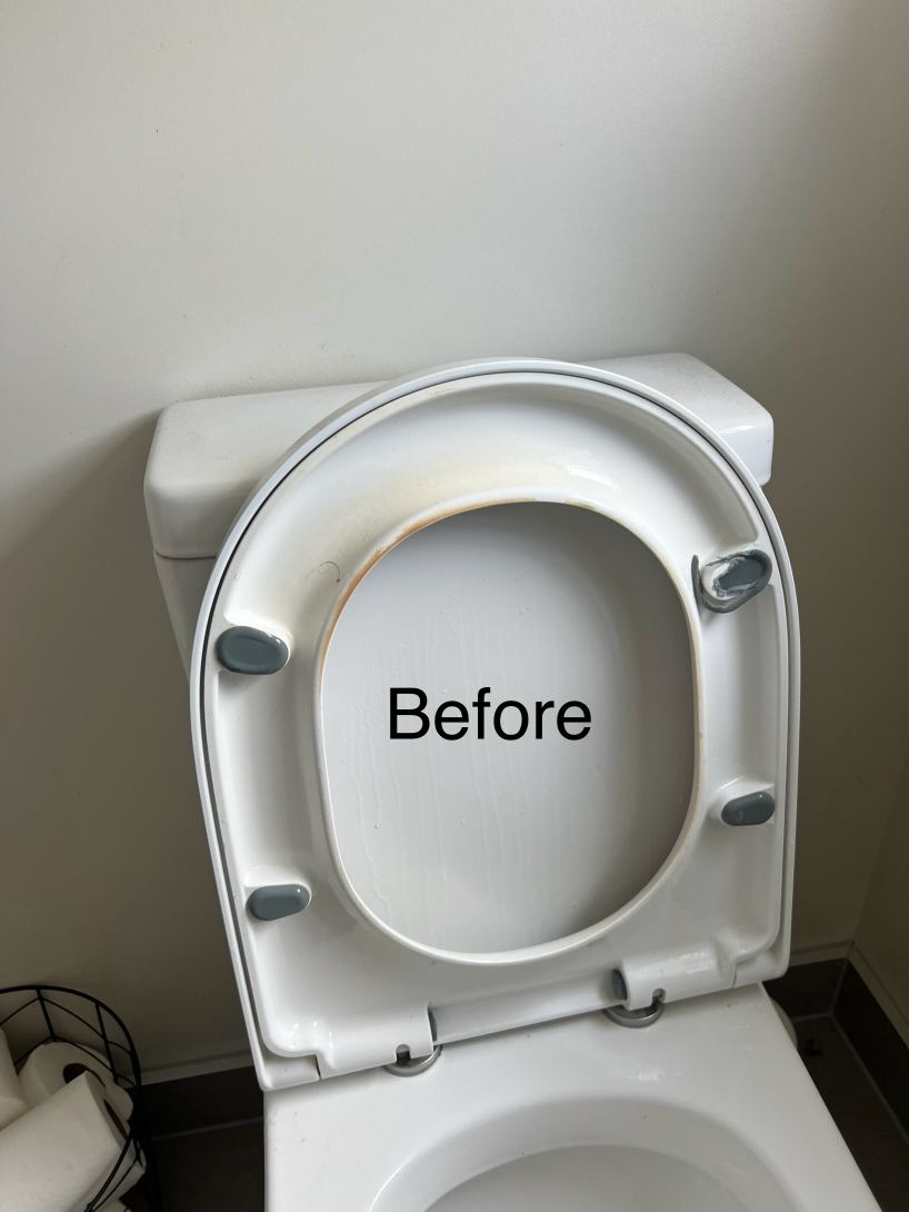 Before toilet deep cleaning service Auckland