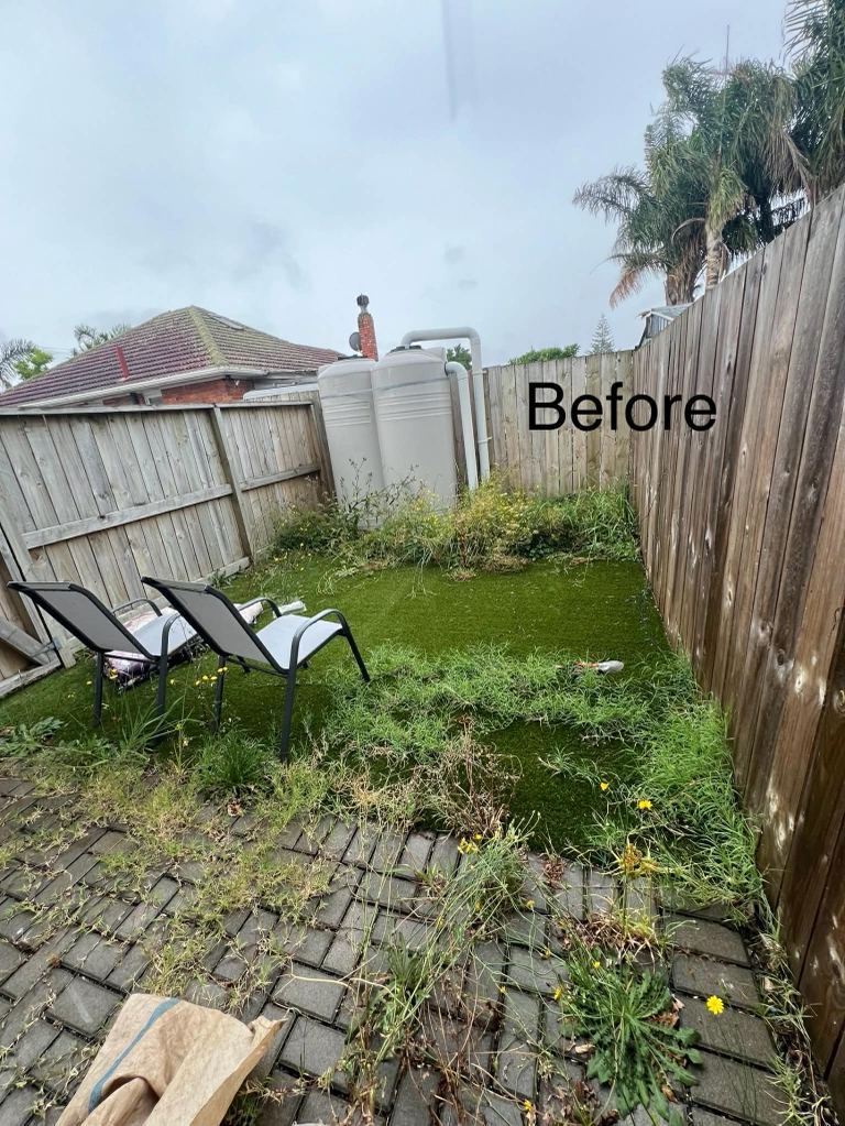 Before garden tidy and lawn mowing Auckland
