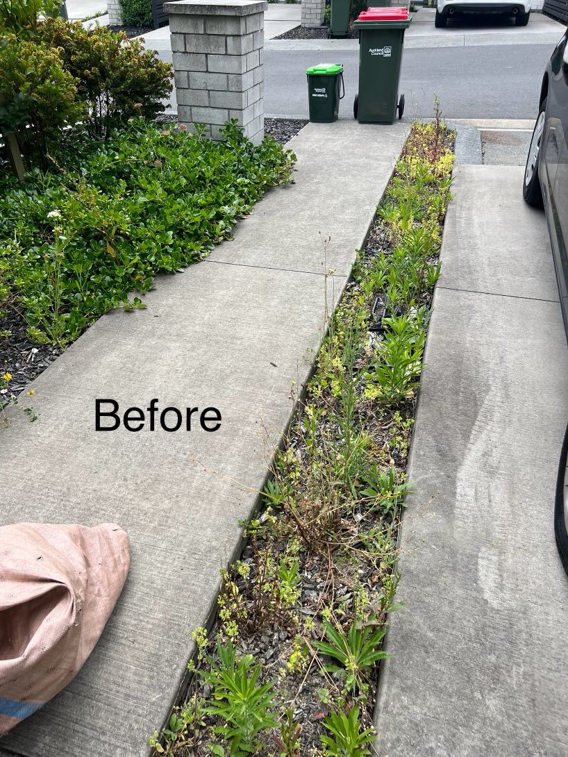 Before garden weeding and driveway tidy Auckland