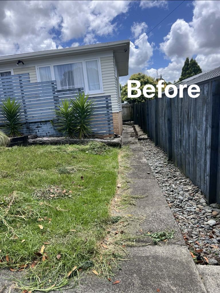 Before lawn mowing and edge tidy up in Auckland