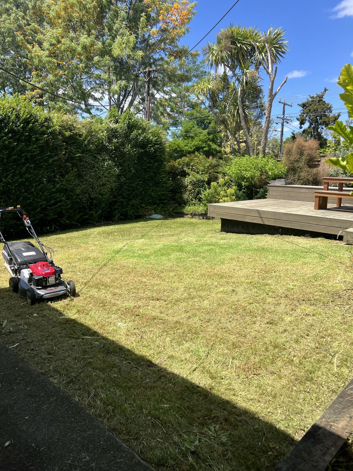 After overgrown lawn mowing in Auckland backyard
