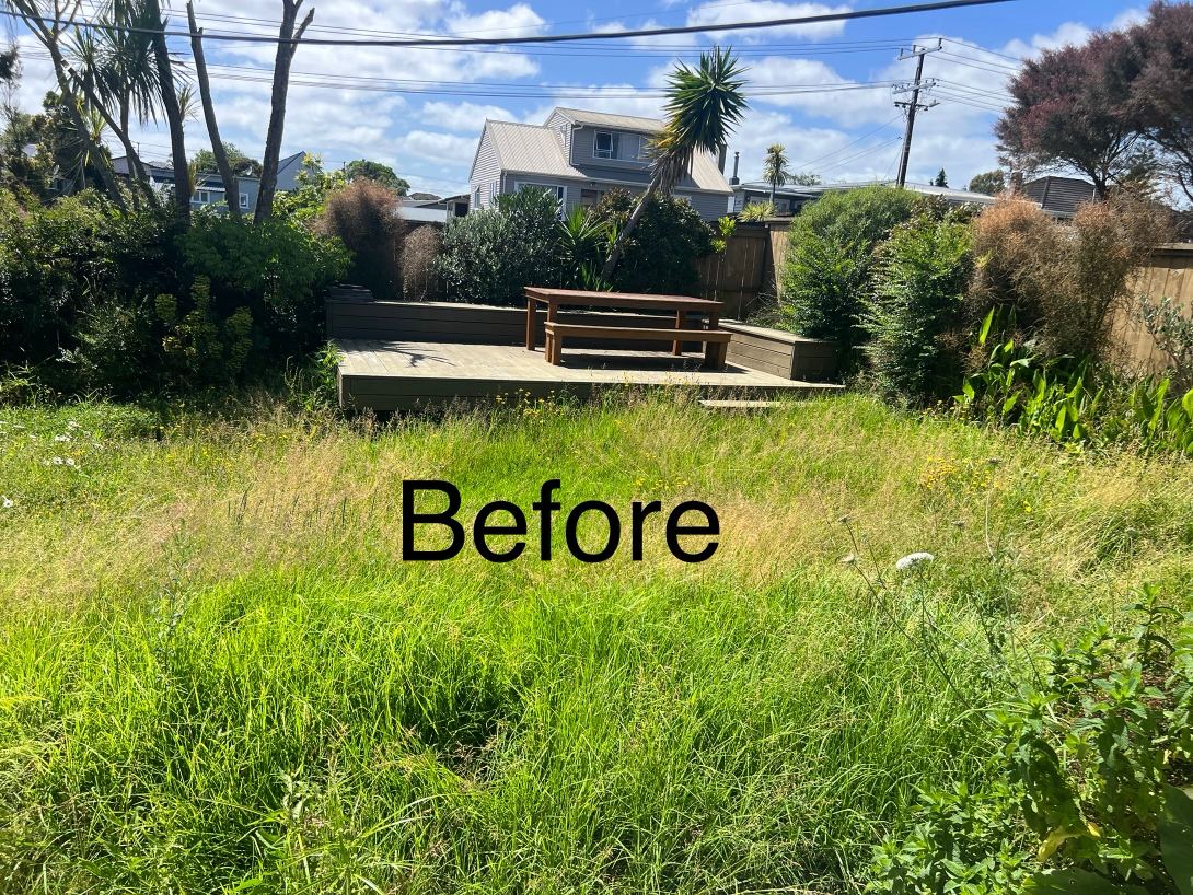 Before overgrown lawn mowing in Auckland backyard